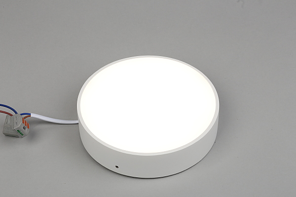 Светильник потолочный Evon APL.0114.09.18