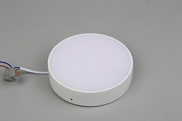 Светильник потолочный Evon APL.0114.09.18