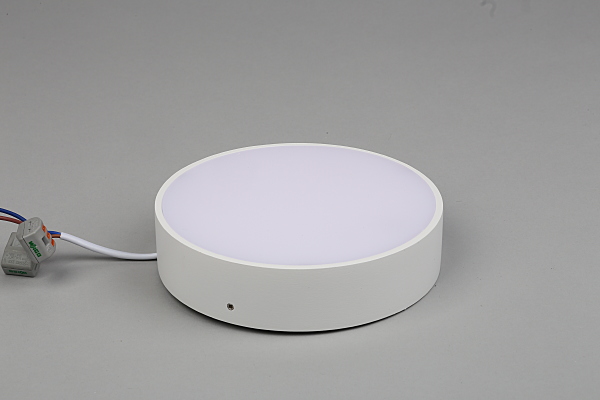 Светильник потолочный Evon APL.0114.09.18