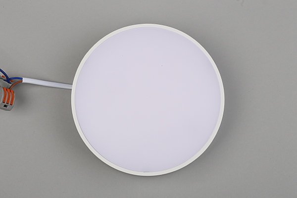 Светильник потолочный Evon APL.0114.09.18