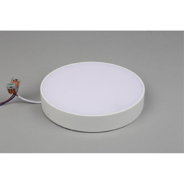 Светильник потолочный Evon APL.0114.09.24