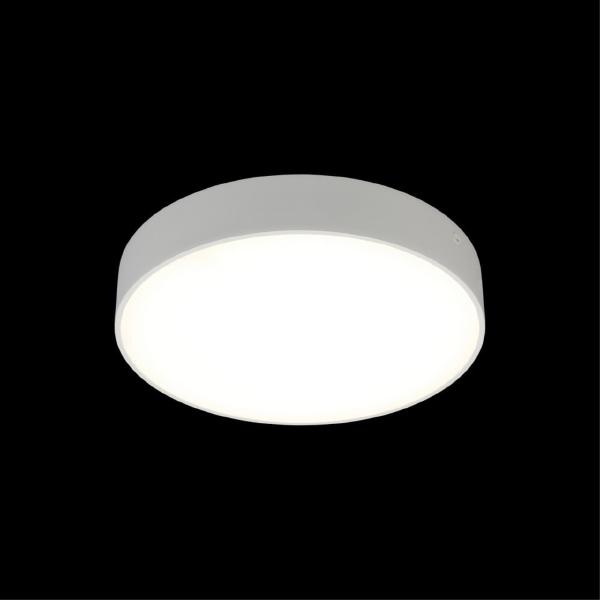 Светильник потолочный Evon APL.0114.09.24