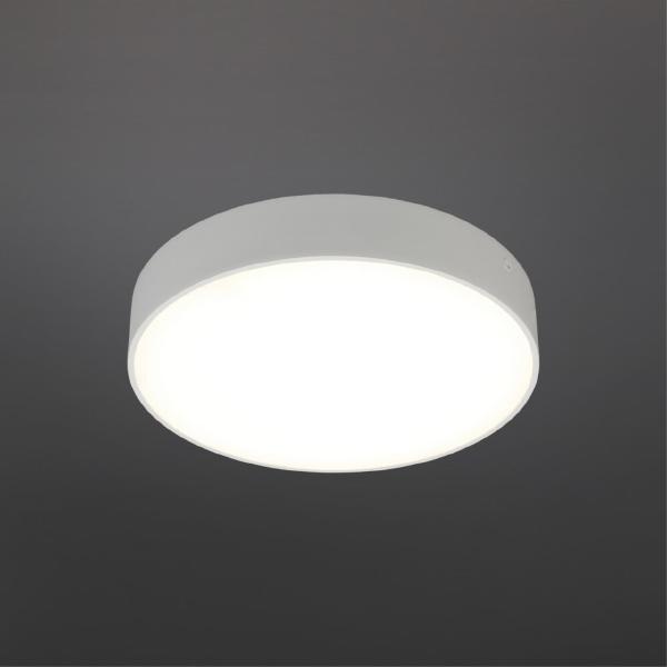 Светильник потолочный Evon APL.0114.09.24