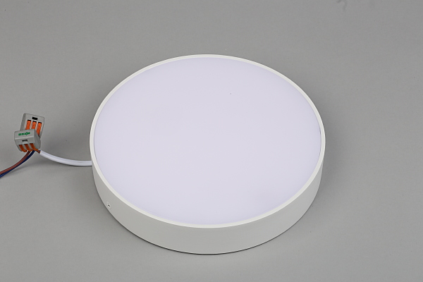 Светильник потолочный Evon APL.0114.09.24