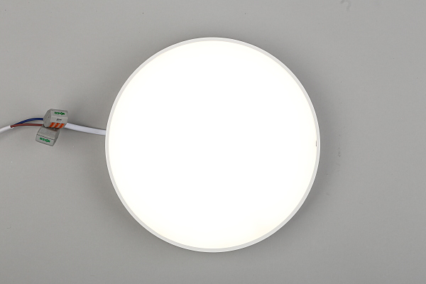 Светильник потолочный Evon APL.0114.09.24