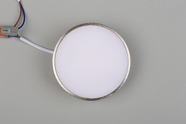 Светильник потолочный Evon APL.0114.19.12