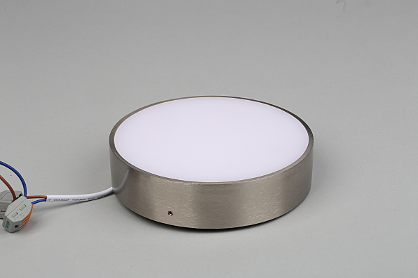 Светильник потолочный Evon APL.0114.19.18