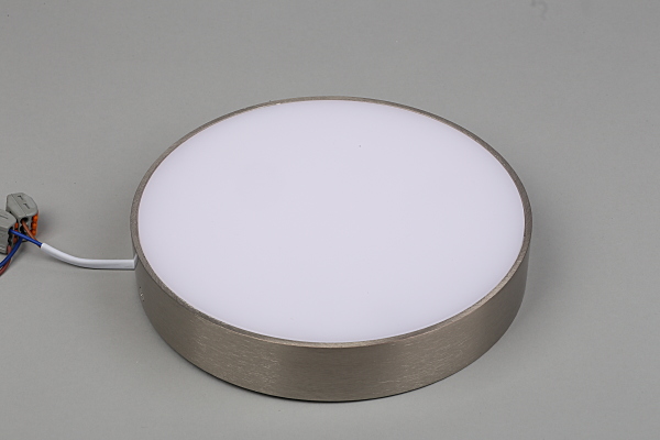 Светильник потолочный Evon APL.0114.19.24