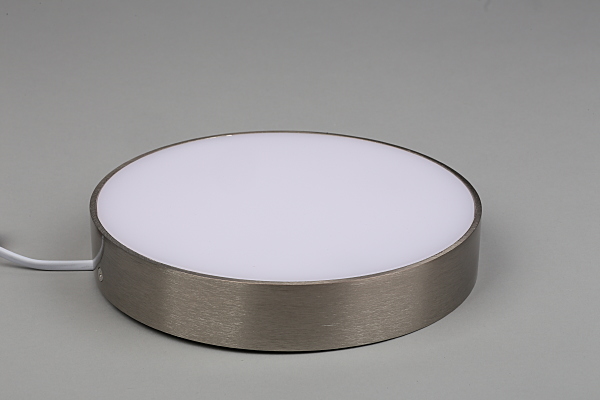 Светильник потолочный Evon APL.0114.19.24