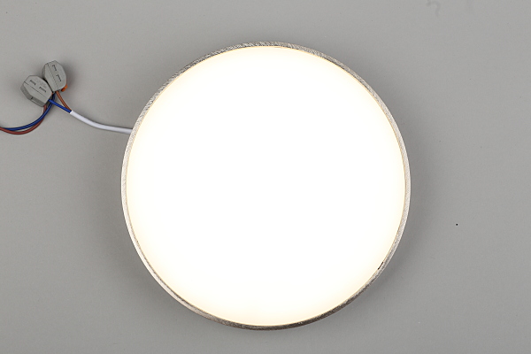 Светильник потолочный Evon APL.0114.19.24