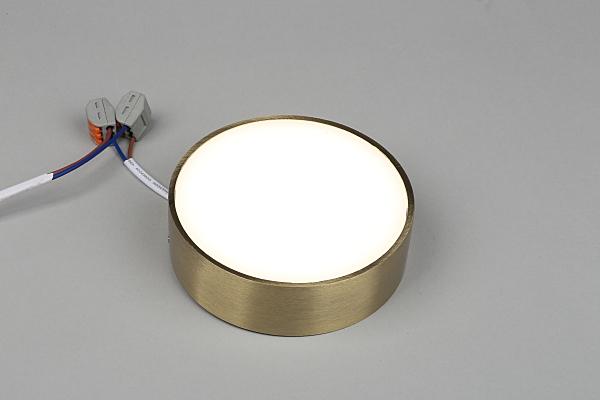 Светильник потолочный Evon APL.0114.29.12