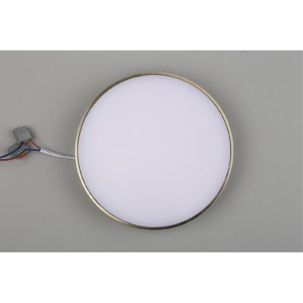 Светильник потолочный Evon APL.0114.29.24