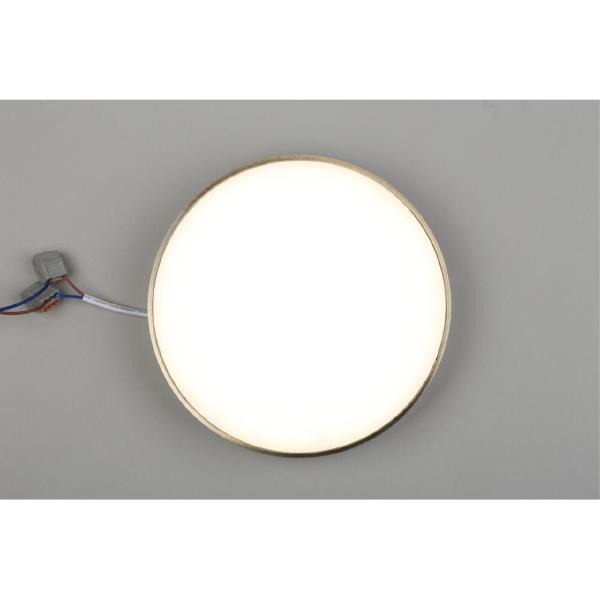 Светильник потолочный Evon APL.0114.29.24