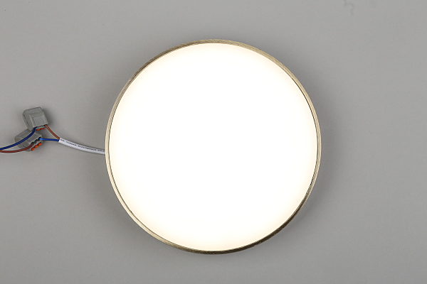 Светильник потолочный Evon APL.0114.29.24