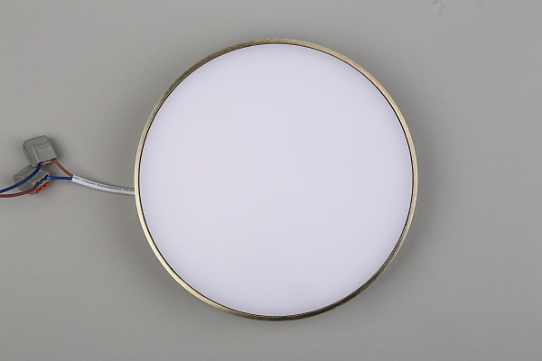 Светильник потолочный Evon APL.0114.29.24