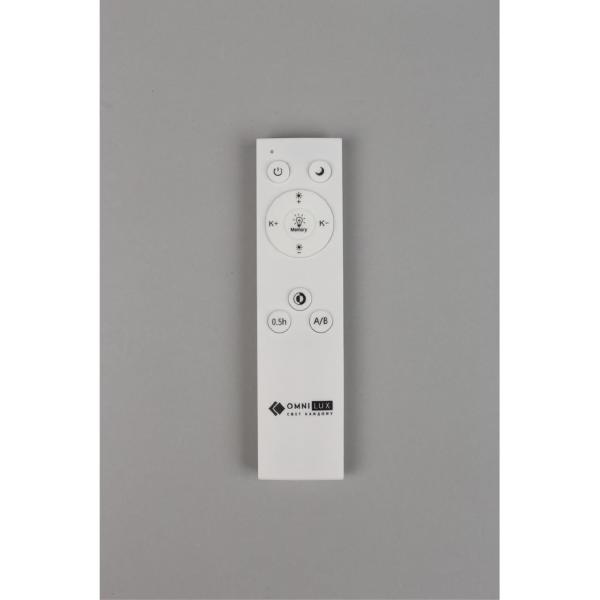 Светильник потолочный Berkeley OML-43007-40