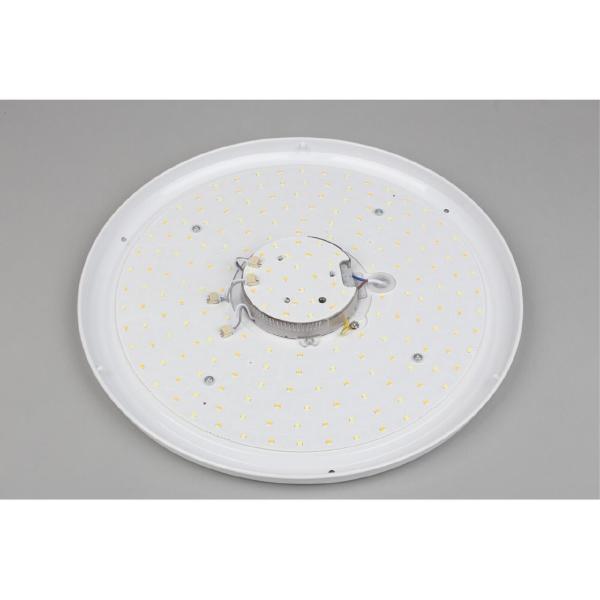 Светильник потолочный Berkeley OML-43007-40