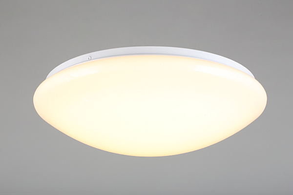 Светильник потолочный Berkeley OML-43007-40