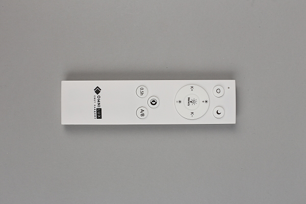 Светильник потолочный Berkeley OML-43007-40