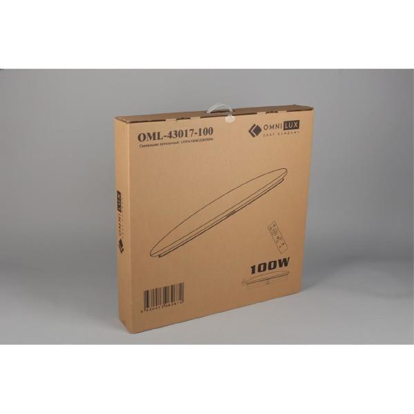 Светильник потолочный Berkeley OML-43017-100