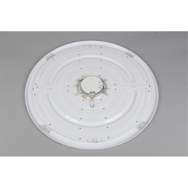 Светильник потолочный Berkeley OML-43017-100