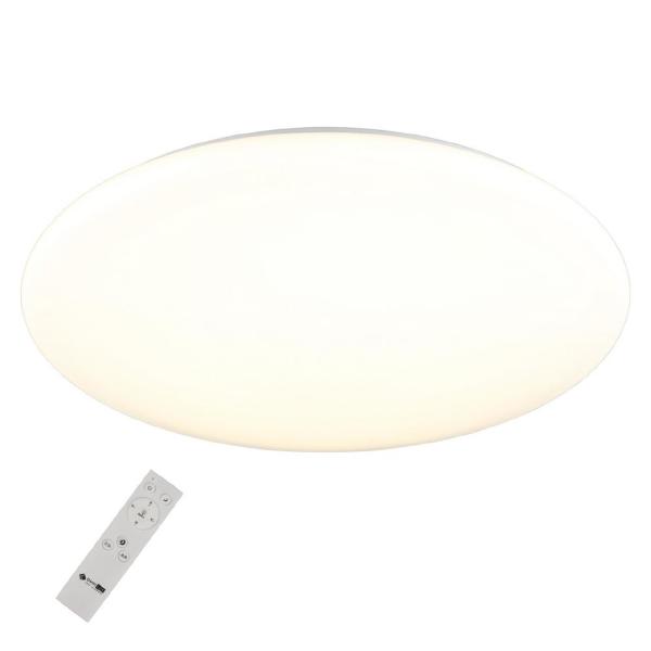 Светильник потолочный Berkeley OML-43017-100