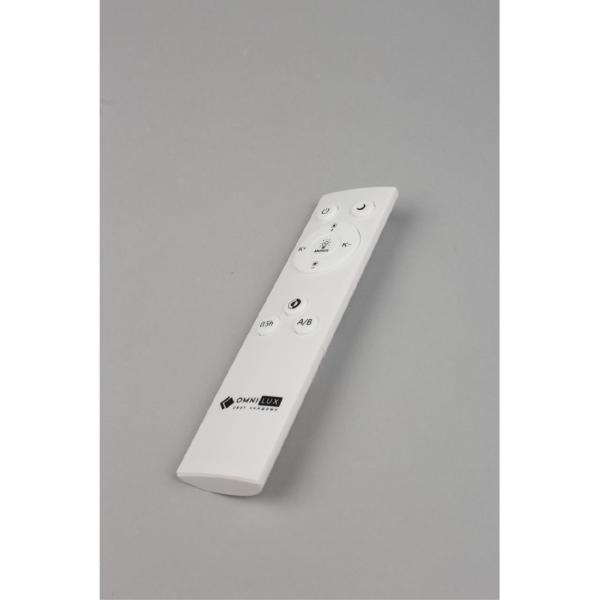 Светильник потолочный Berkeley OML-43017-100