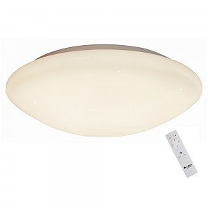 Светильник потолочный Berkeley OML-43017-100