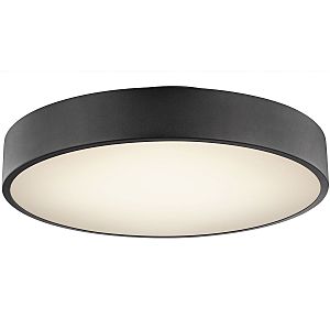 Светильник потолочный Wiss 41744-24S