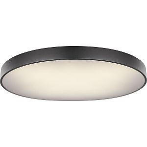 Светильник потолочный Wiss 41744-60S