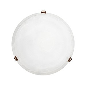 Настенно потолочный светильник Eglo Salome 7902