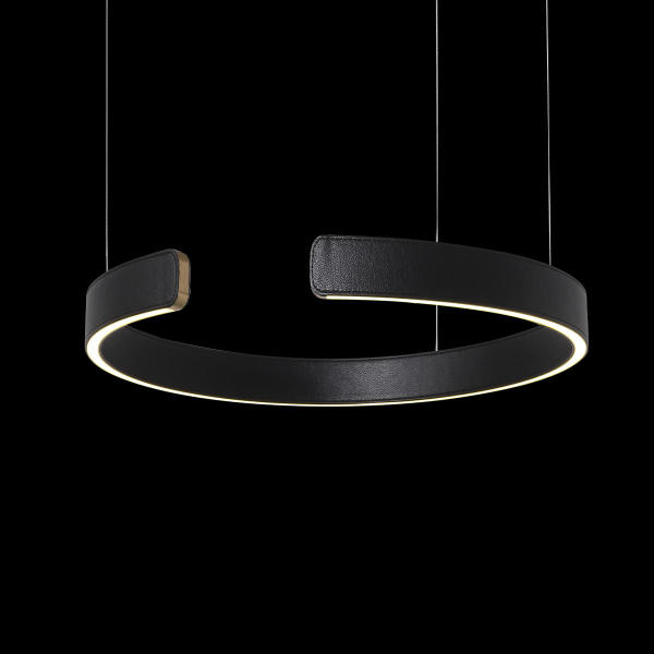 Светильник подвесной Ring 10025/400 Black