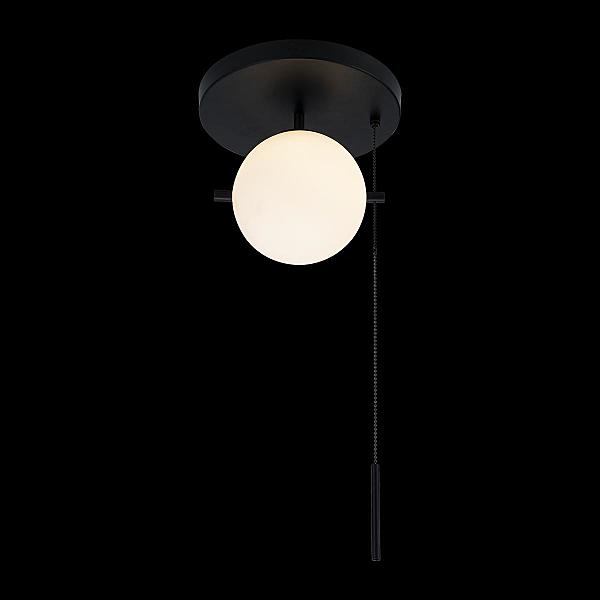 Светильник потолочный Signal 10029C Black