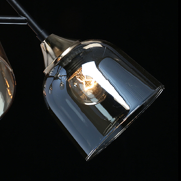 Потолочная люстра Альфа 324017005