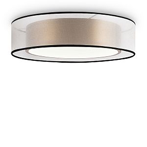 Светильник потолочный Zoticus FR6005CL-L36G