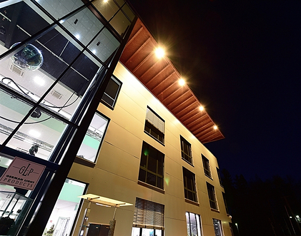 Прожектор уличный Brachium 732106