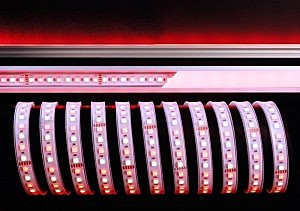 LED лента SMD5050 840218