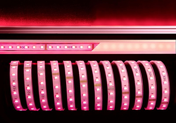LED лента SMD5050 840241