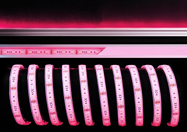 LED лента SMD5050 840256