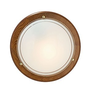 Настенно потолочный светильник Eglo Ufo 1 3891