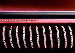 LED лента SMD3528 840231