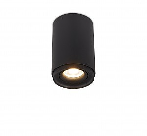 Накладной светильник 2065 2065-1CLB