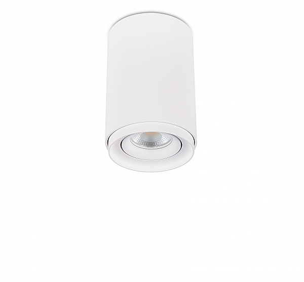 Накладной светильник 2065 2065-1CLW