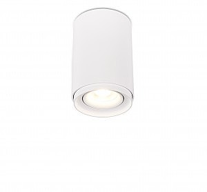 Накладной светильник 2065 2065-1CLW