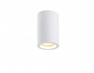 Накладной светильник 2020 2020-1CLW