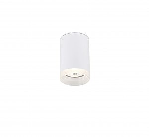 Накладной светильник 2039 2039-1CLW