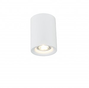 Накладной светильник 2036 2036-1CLW