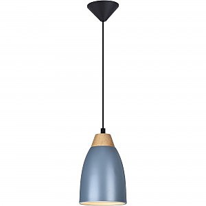 Светильник подвесной Leah TL0724H-2N