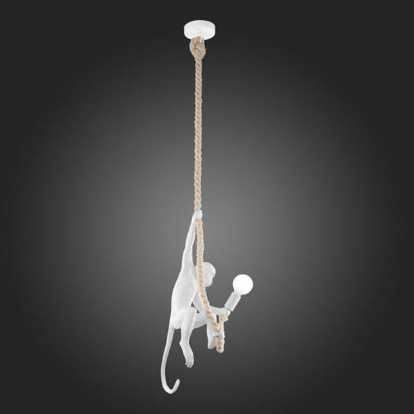 Светильник подвесной Tenato SLE115103-01