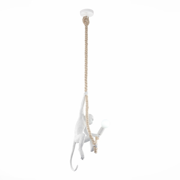 Светильник подвесной Tenato SLE115103-01